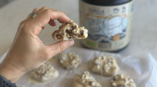 Vanilla Date Protein Yogurt Bites